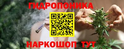 ешки Обнинск