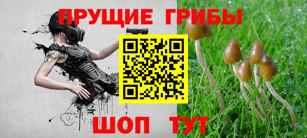 Псилоцибиновые грибы Psilocybine cubensis  Вход с VPN  Сертолово 